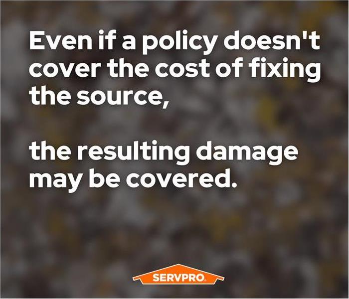 The perils covered by homeowners insurance policies vary depending on the insurer.
