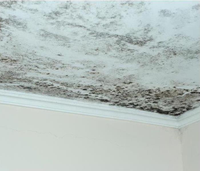 Mold on the ceiling of an Oviedo home